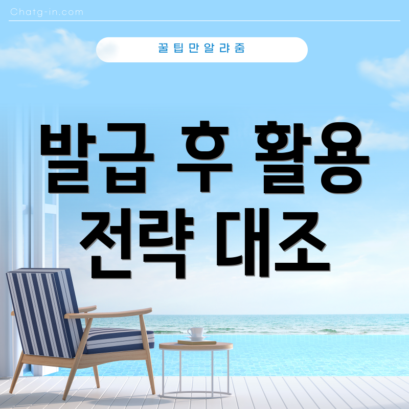 발급 후 활용 전략 대조