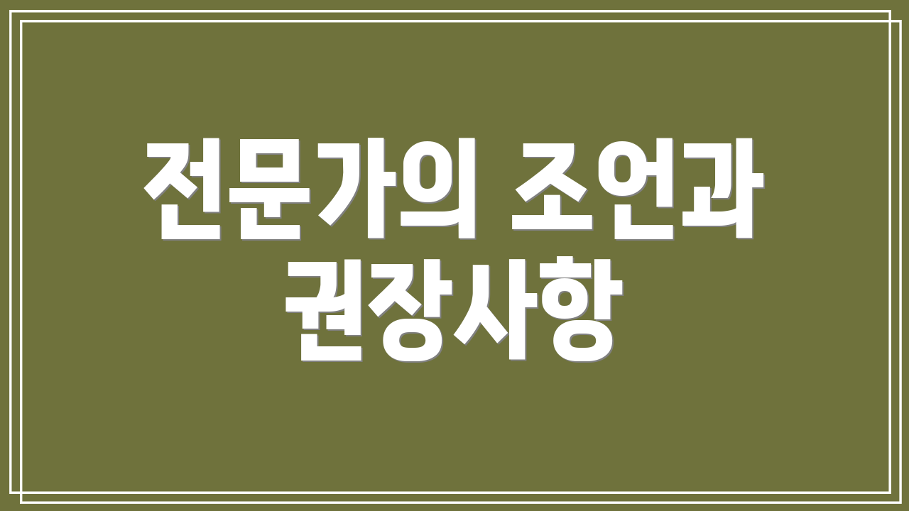 전문가의 조언과 권장사항