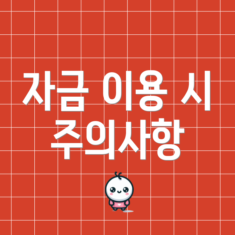 자금 이용 시 주의사항