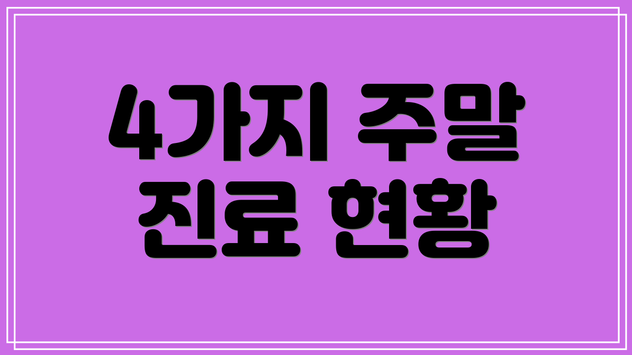 4가지 주말 진료 현황