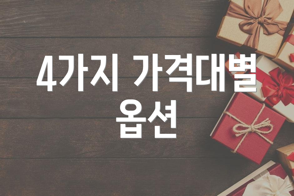 4가지 가격대별 옵션