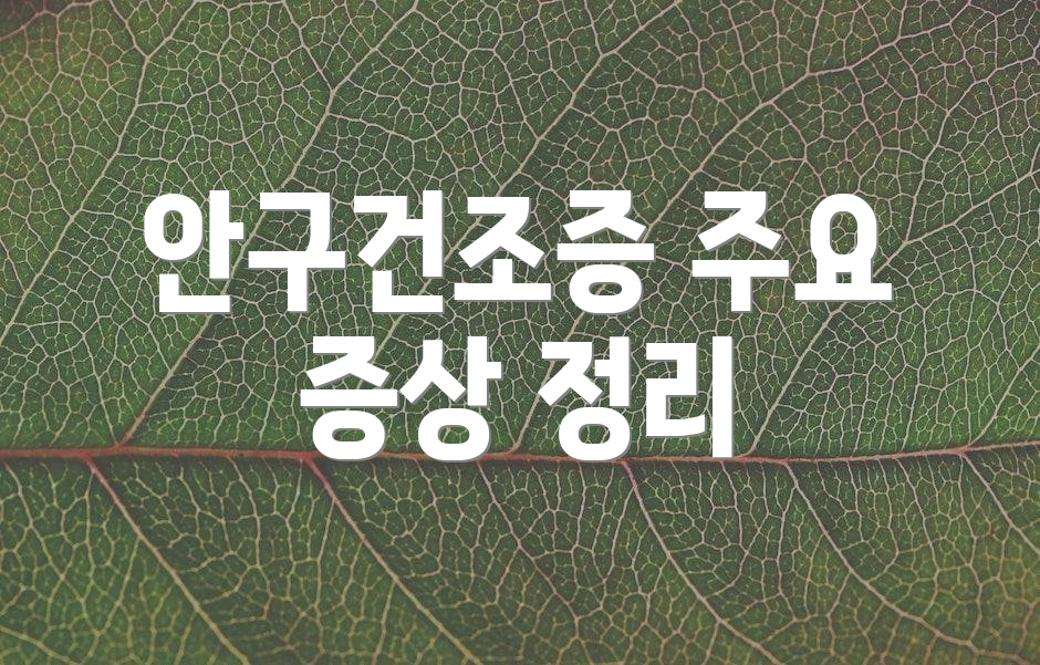 안구건조증 주요 증상 정리