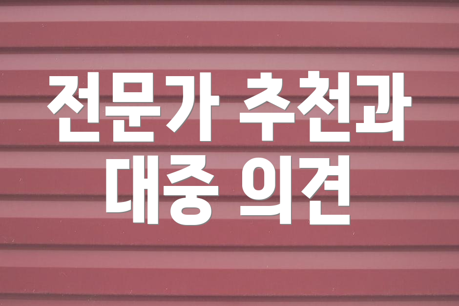 전문가 추천과 대중 의견