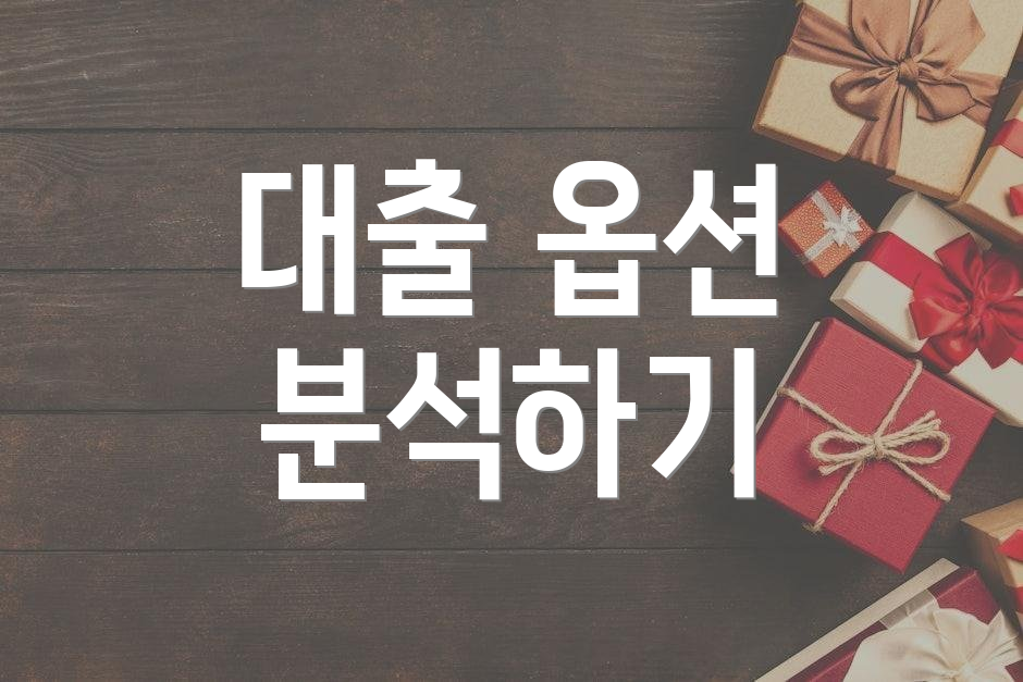 대출 옵션 분석하기