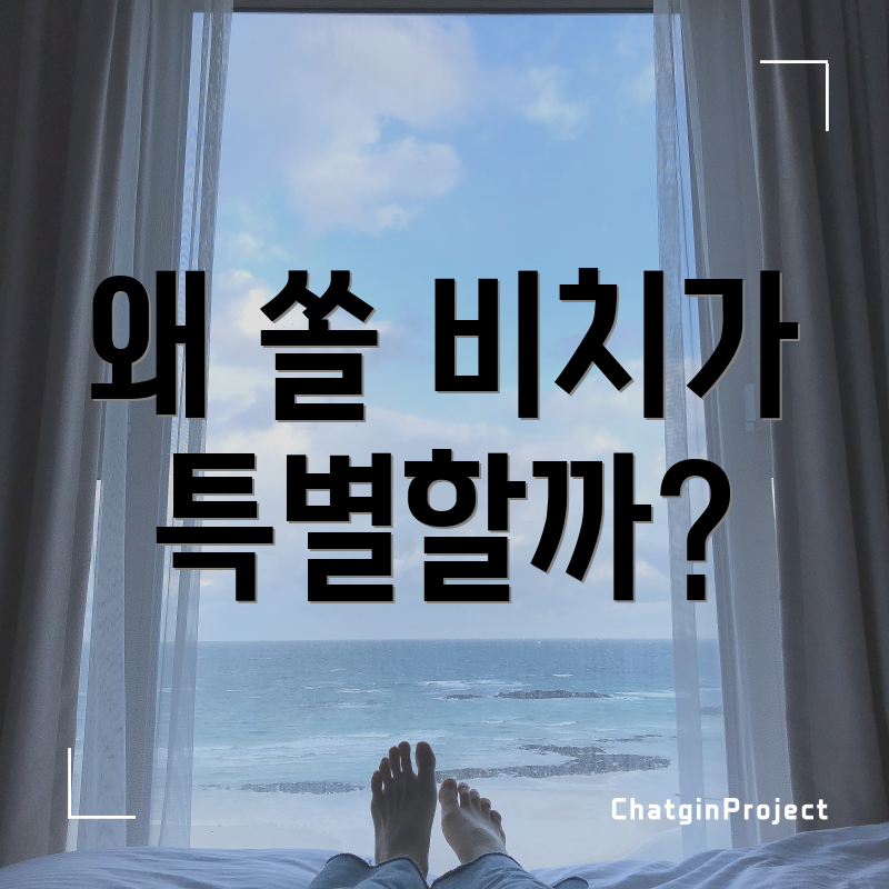 왜 쏠 비치가 특별할까?