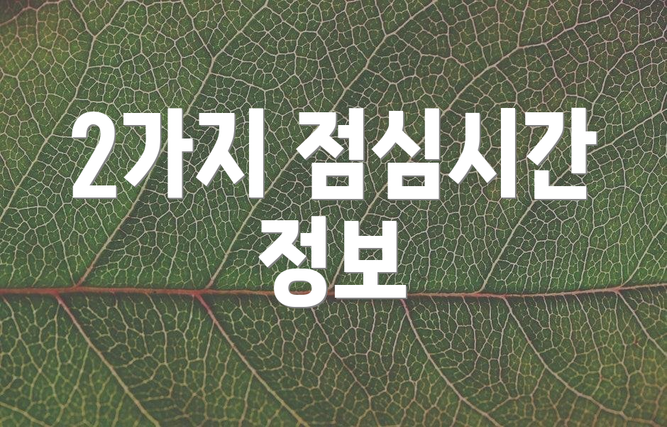 2가지 점심시간 정보