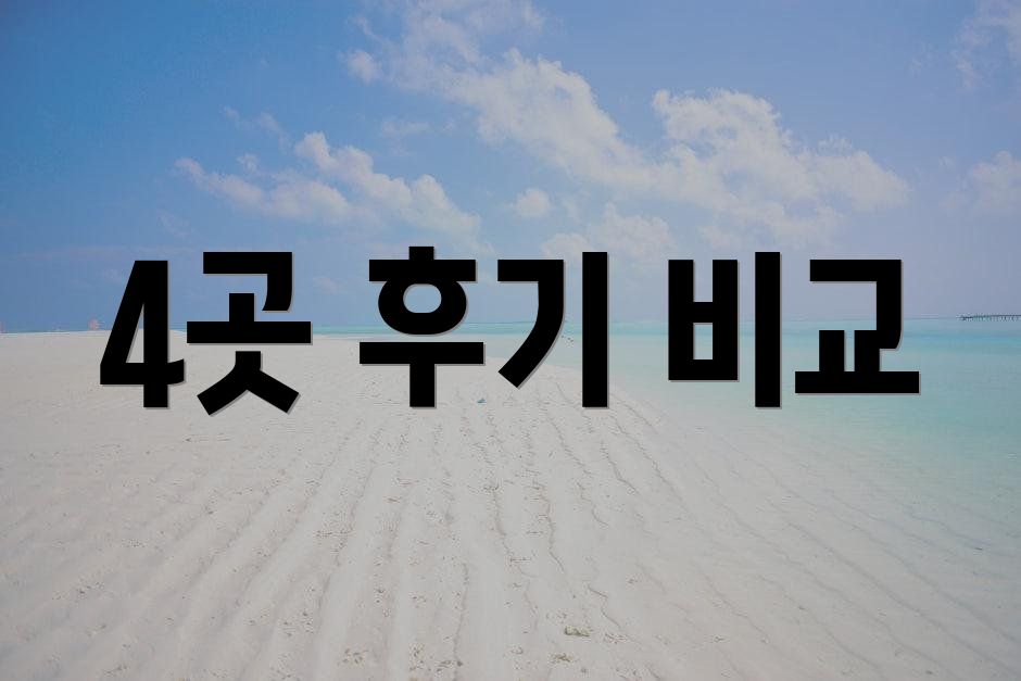 4곳 후기 비교