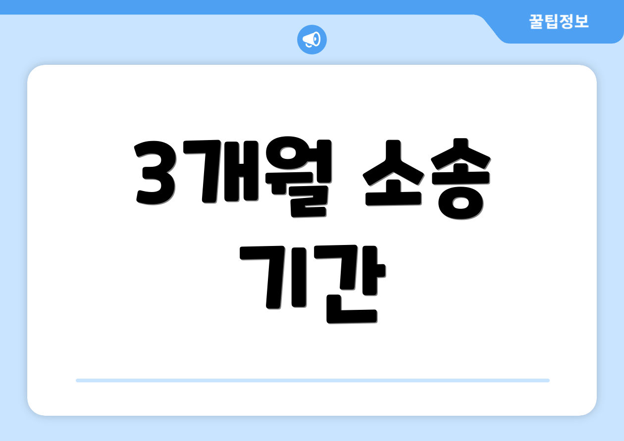 3개월 소송 기간