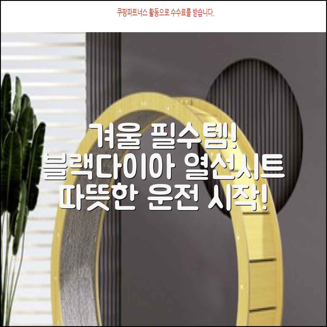 블랙다이아 차량용 열선시트 (1P) 털 겨울 히팅 전기시트, 1개, 12V (운전/조수석) 추천 리뷰