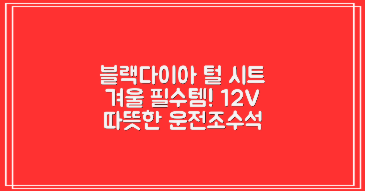 블랙다이아 차량용 열선시트 (1P) 털 겨울 히팅 전기시트, 1개, 12V (운전/조수석) 추천 리뷰
