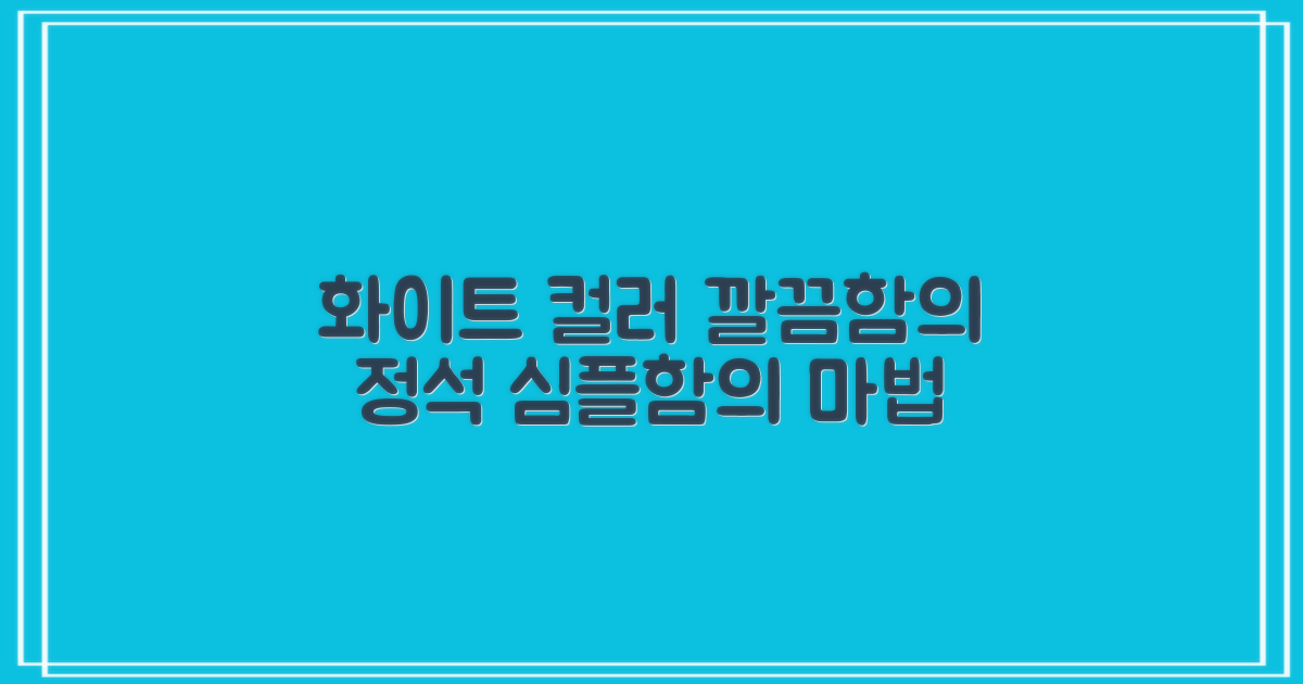 화이트 컬러의 매력