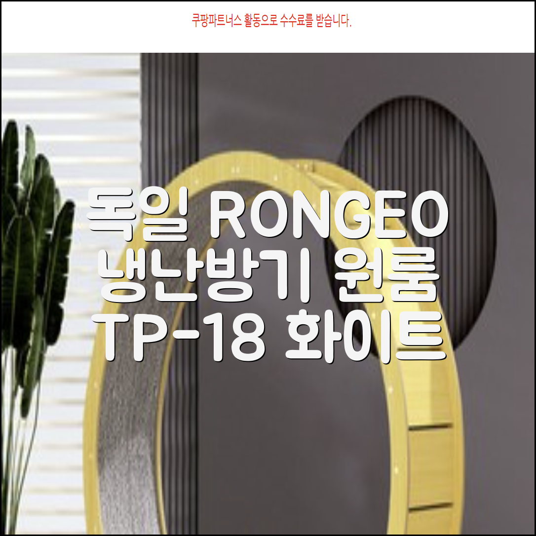 독일 RONGEO 가정용 사무실 냉난방기 냉온풍기 원룸, TP-18(냉난방가능/화이트) 추천 리뷰