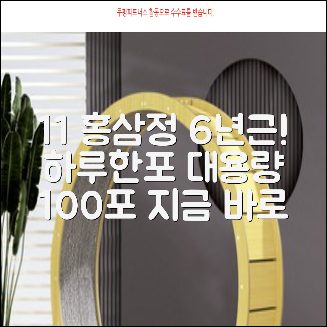 [1+1 특가] 홍삼정 6년근 하루한포 100회분 대용량+쇼핑백, 2개, 1L 추천 리뷰