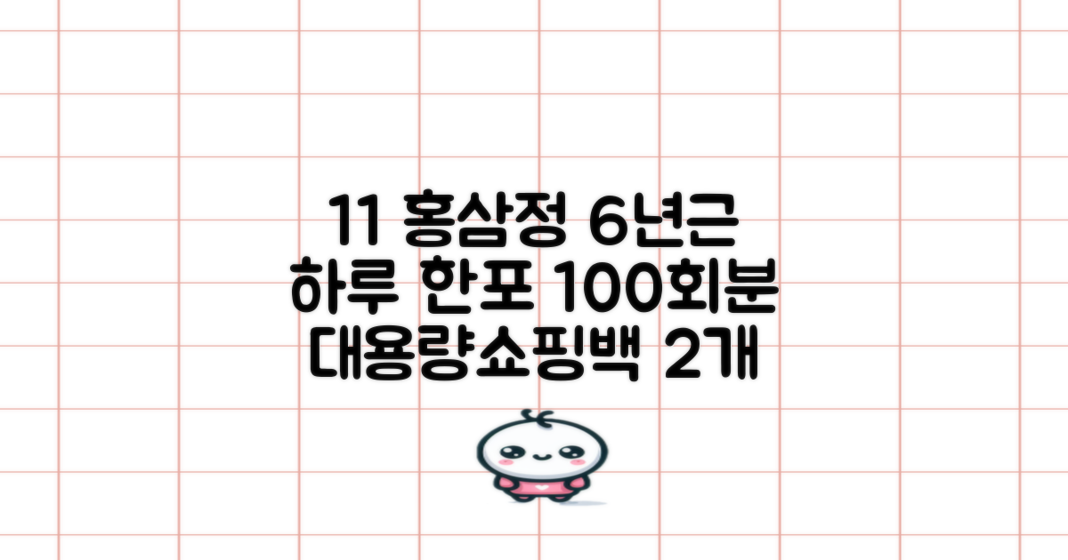 [1+1 특가] 홍삼정 6년근 하루한포 100회분 대용량+쇼핑백, 2개, 1L 추천 리뷰