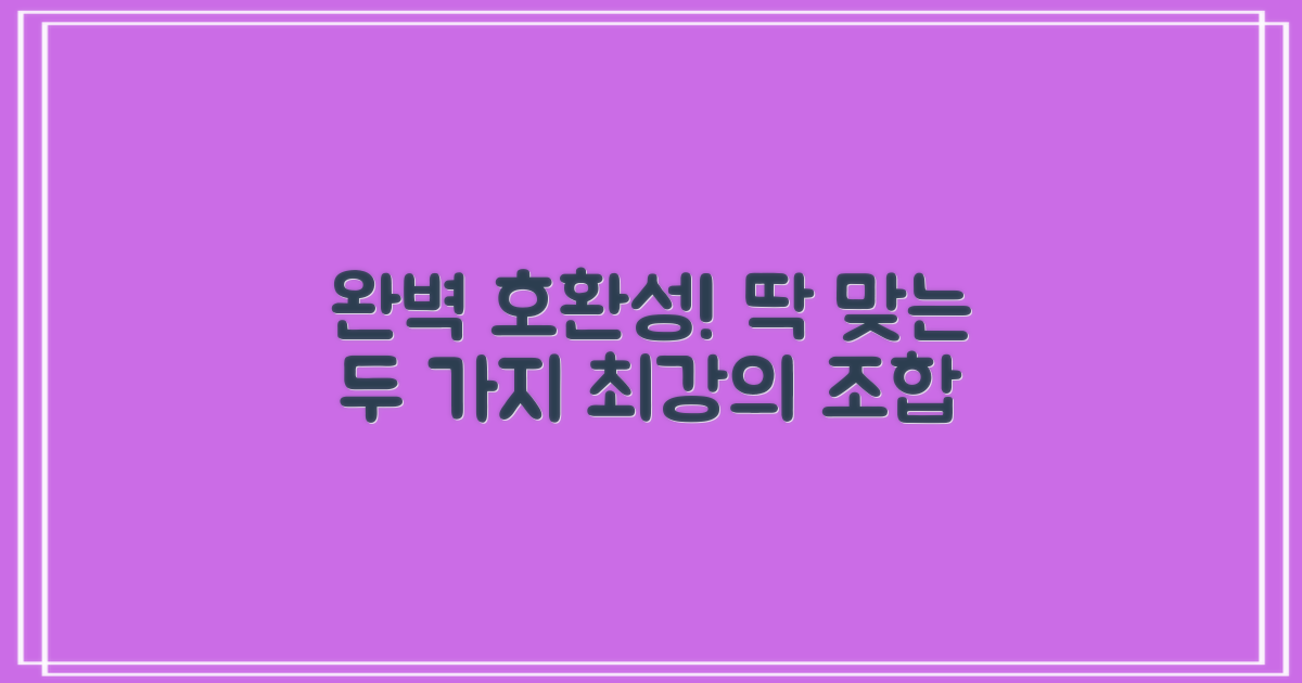 2가지 완벽한 호환성